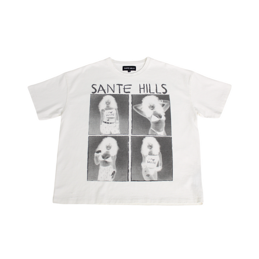 Punk Tee - LOST HILLS